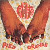 L'album - Pied Orange - des Satellites