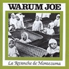 L'album Le Maudit de Warum Joe